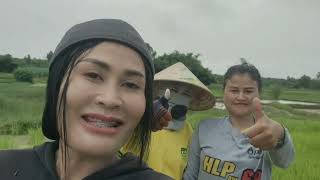 Planting rice by another way.🙏😊