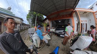 Lapar Pulang Jual Kopi Ke Kampung, Makan Bakso Lalaban Jengkol Muda