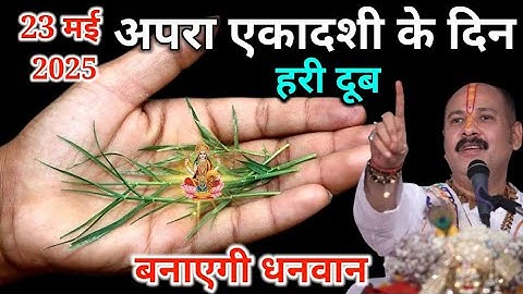 23 मई शुक्रवार अपरा एकादशी हरी दूब घास का उपाय जन्म जन्मांतर की गरीबी होगी दूर बनोगे महा करोड़पति