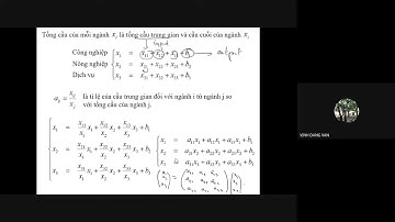 Đại số tuyến tính - Input Output Leontief