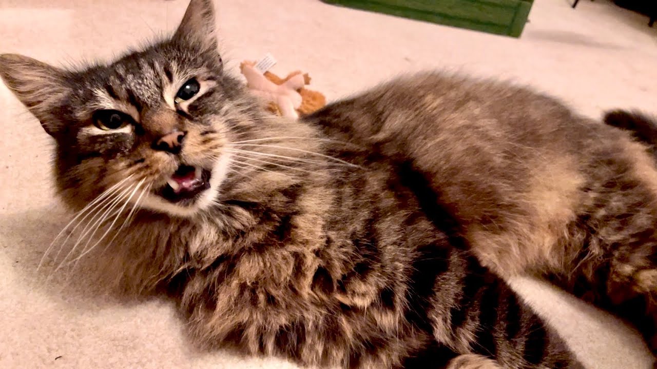 Eric says it’s history 