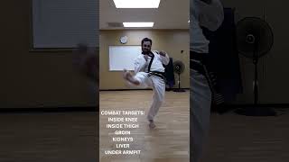 MARTIAL ARTS FIGHT SCIENCE #4: TWISTING KICK (BITURO CHAGI) #combatives #fighter #combatsports #tkd