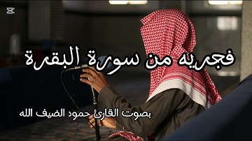 تلاوة من سورة البقرة بصوت القارئ حمود بن عبدالعزيز الضيف الله