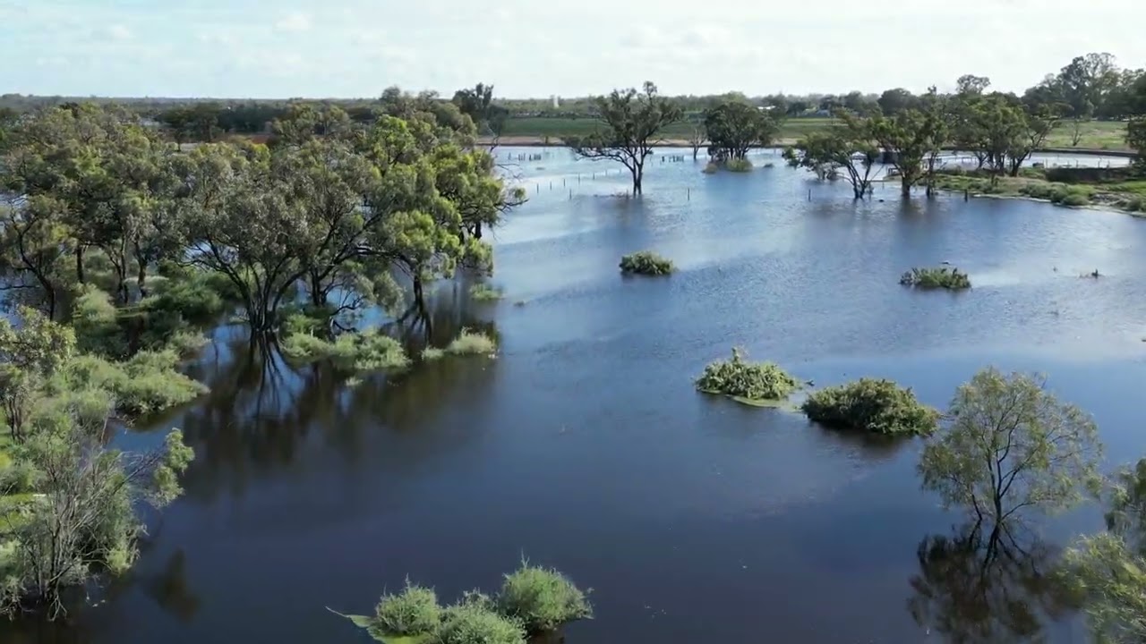 Mildura Floods 2022 - Flora Ave Levee Update - Will the park take on water