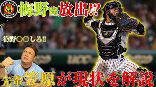 【梅野腐るな!!】阪神梅野隆太郎が干されている理由を笠原が解説します！