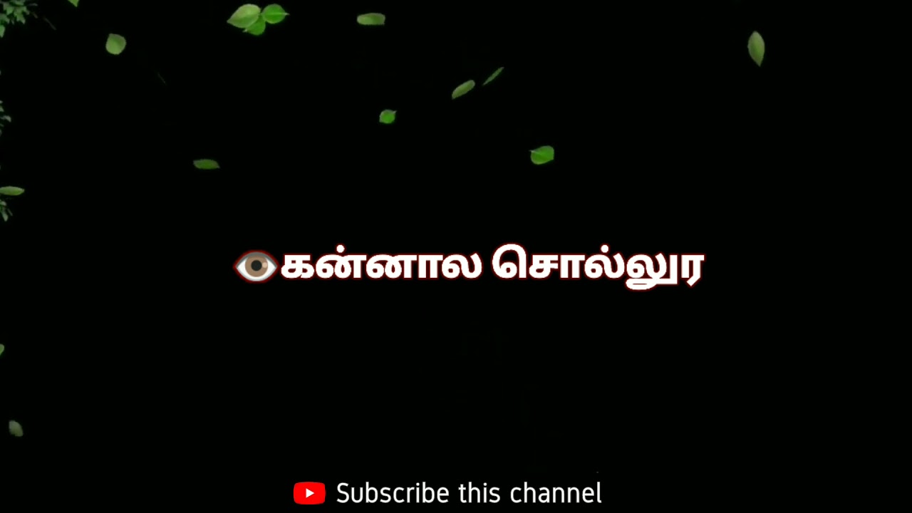 Kannala sollura kaiyala sollura tamil black screen thalapathi vgp