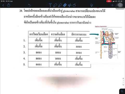 เฉลยข้อสอบ 9วิชาสามัญ ชีววิทยา2563 ข้อ-20