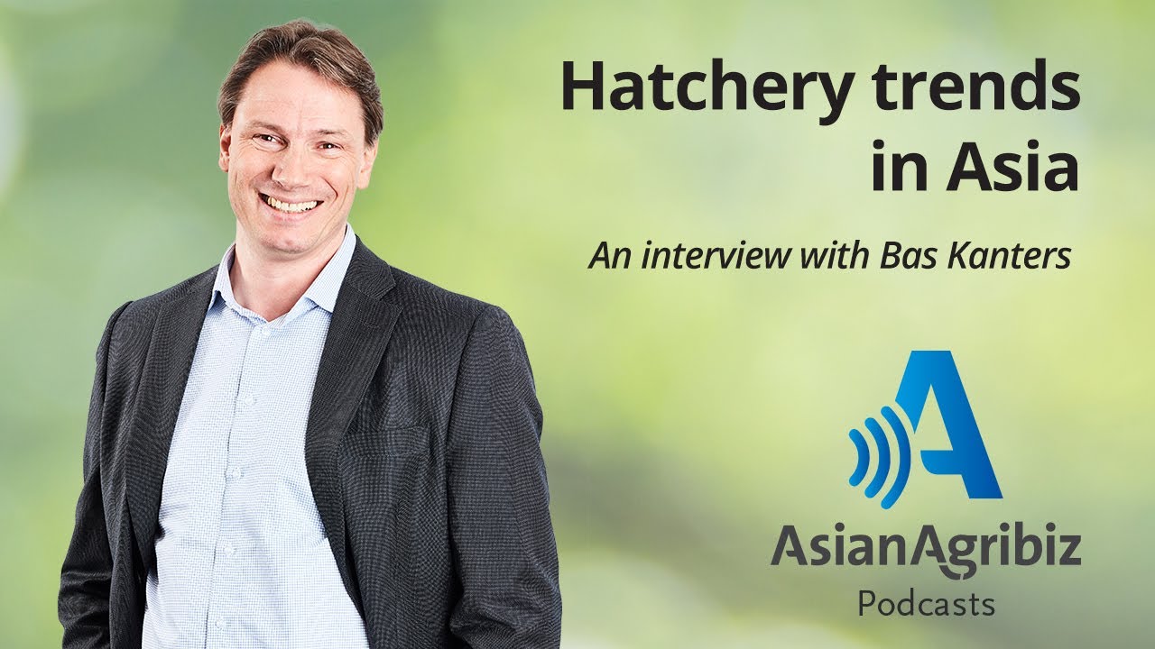 Hatchery trends in Asia. Podcast