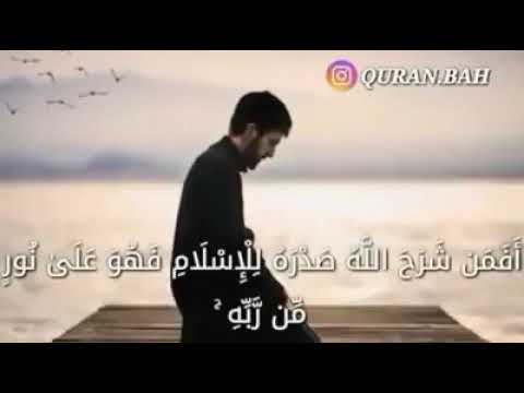افمن شرح الله صدره للاسلام ماهر المعيقلي