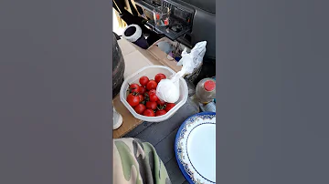 سلام درود شهر زیبای شیرازهستم بارگیری از کرج ب شیراز در کناره جاده با املت محلی باگوجه محلی 