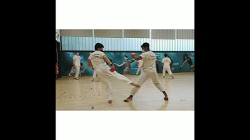 Jiyu Kumite - Free Style Sparring (#2) - Karate Training Techniques