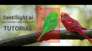 SentiSight.ai image segmentation model training tutorial