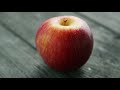 Know Your Impact | Celebrating 50 Years of Service