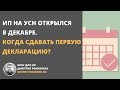 Когда сдавать первую декларацию по УСН, если ИП открылся в декабре?