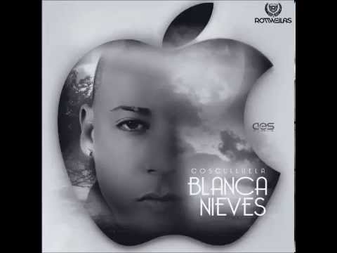 cosculluela dividiendo bando cosculluela dividiendo bando