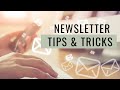 How to Make a Newsletter in Canva | Canva Tutorial