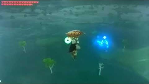 How to dodge the cuccos