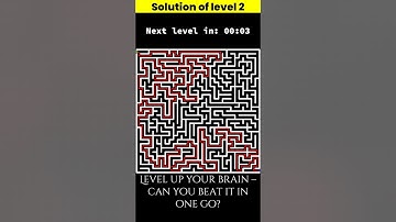 Maze Puzzle Brain Game: Can You Solve All 4 Levels? 🌀🧠