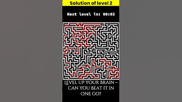 Maze Puzzle Brain Game: Can You Solve All 4 Levels? 🌀🧠