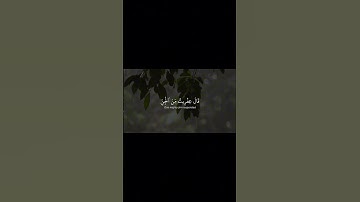 ياسر الدوسري - سورة النمل #حالات_واتس #quran #قرآن #ياسر_الدوسري #اكسبلور #عبد_الله_الموسى #راحة
