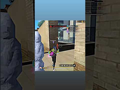Untitled video