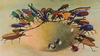 Путешествие муравья (Puteshestvie muravja) сказка для детей - Золотая коллекция Soyuzmulfilm