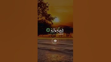 📖سورة الغاشية 🎙️هاني العزوني