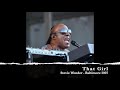 Stevie Wonder - That Girl (Live In Baltimore 2007)