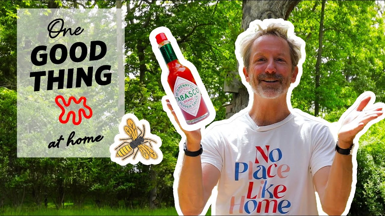 Keep Yellow Jackets Away With This Common Kitchen Ingredient One Good