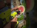 Refreshing Watermelon Cocktail