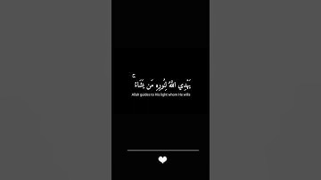 [سورة النور ]القارئ شريف مصطفى# شاشة سوداء......