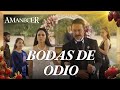 Alba Y Leonel Se Casan Sin Amor Amanecer 3 4 Capítulo 11