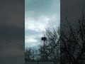 November sky