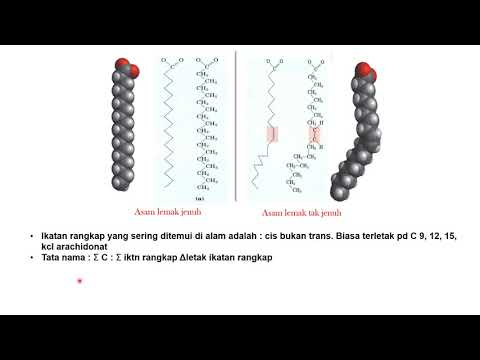 Video: Apa yang dimaksud dengan lipid yang tidak dapat disabunkan?