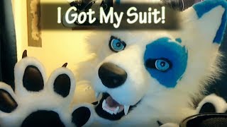 Xuen | I got my suit! | Fursuit Unboxing from Furitup