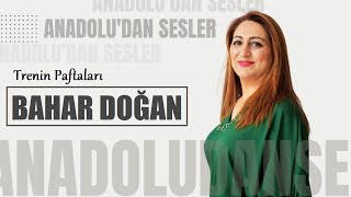 Bahar Doğan - Trenin Paftaları Resimi