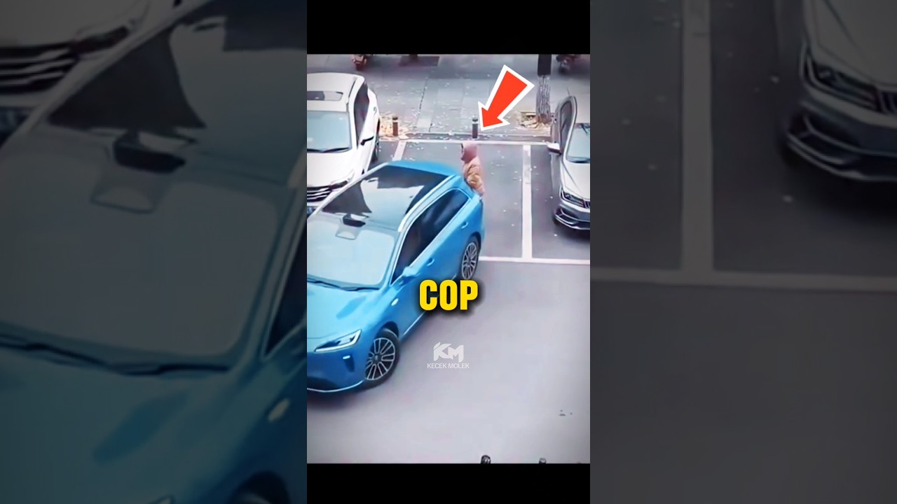 Tiada Lagi Istilah Cop Parking😅 #faktamenarik #faktaunik #malaysia
