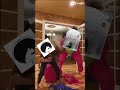 Aaa!! Se cayó 🫢