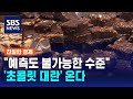 자고 일어나면 또 폭등…'초콜릿 대란' 코앞 / SBS / 친절한 경제 Mp3 Song