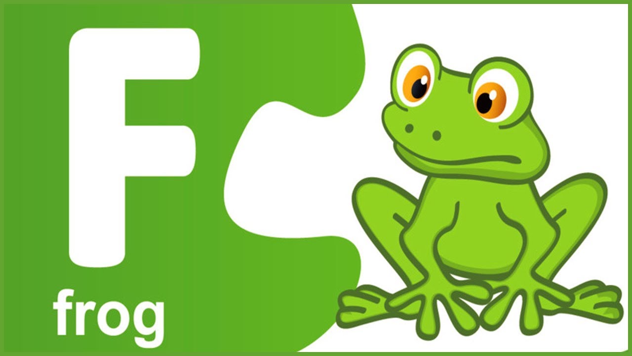 Включи канал frog. Жаба для детей. Frog на английском. Карточка лягушка на английском. Буква f.