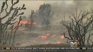 Blue Cut Fire Grows To 15 000 Acres
