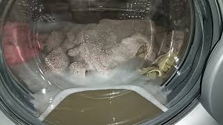 LG brown water on cooldown