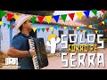 Solos Forró Pé de Serra na Sanfona - PJ Sanfoneiro