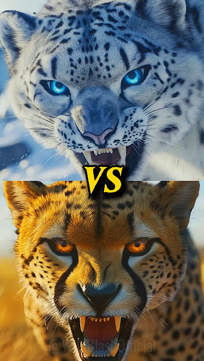 Cheetah vs Wild Animals (Lion, Tiger, Black Panther, Snow Leopard, Elephant, Gorilla, Anaconda, Wolf