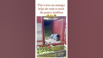 My manager helping the team to reach the project deadlines😅😂🤣 #coders #programmers #clientes #viral
