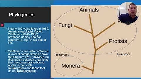 Microbiology Openstax Ch 1 Section 1 2
