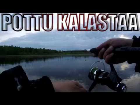 Video: Kokeilut - Vaihtoehtoinen Näkymä