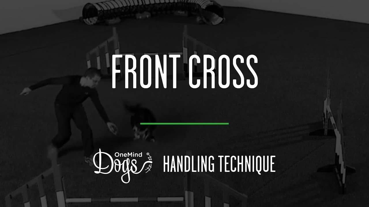 Front Cross - Agility Handling Technique - OneMind Dogs