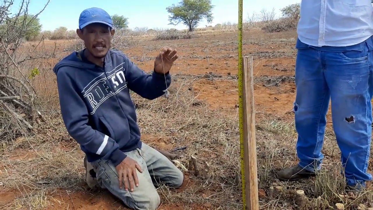 marcação 2 em ibititá tudo sobre a pedrinha o pêndulo
