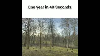 one year in 40 Seconds ⏳#shorts